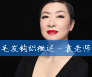 毛发化妆法-袁老师