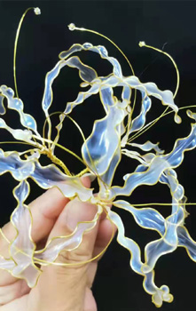 北京秦芳出品《最美饰品》