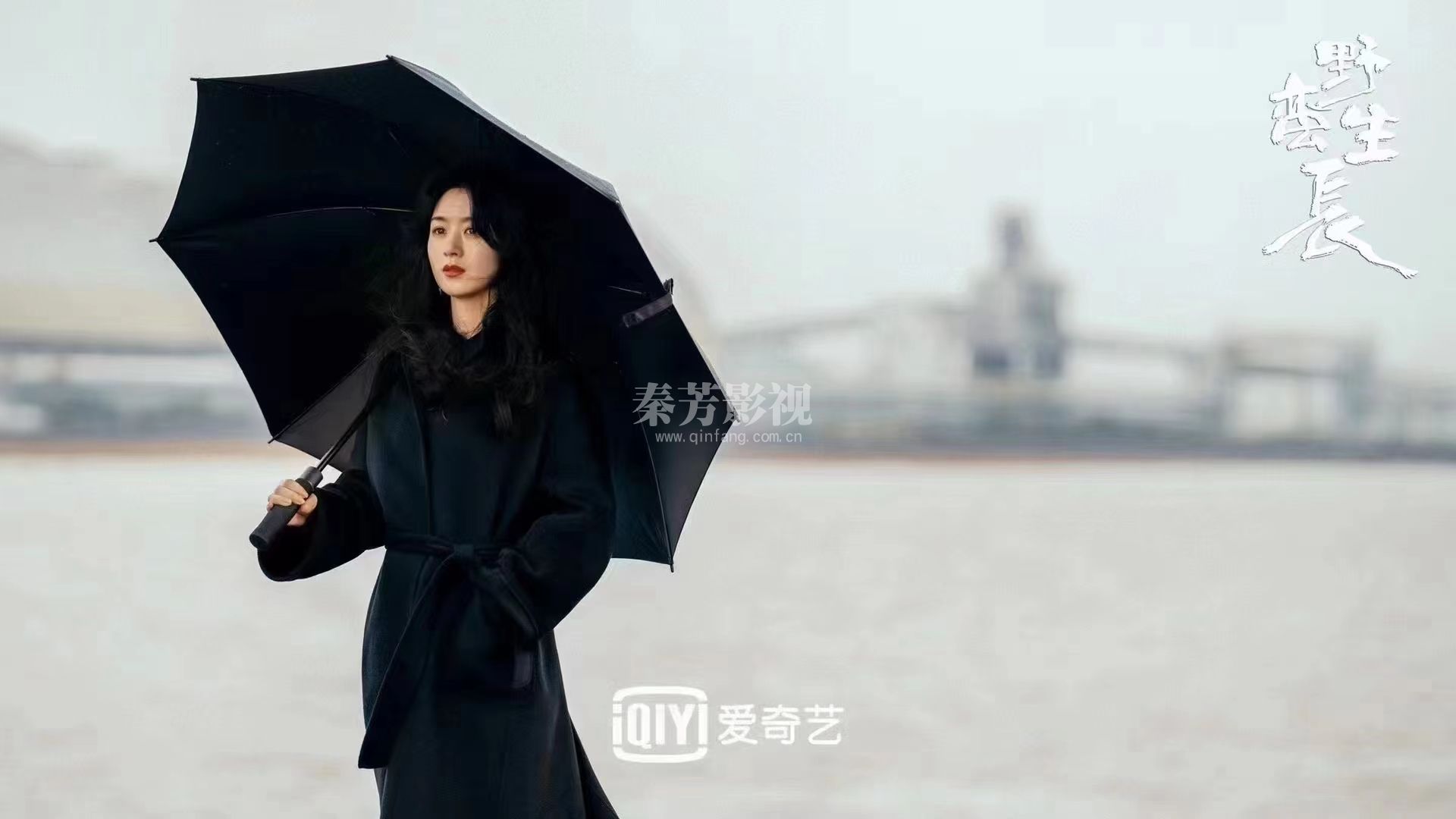 #野蛮生长  首发剧照     赵丽颖丨欧豪丨李光洁