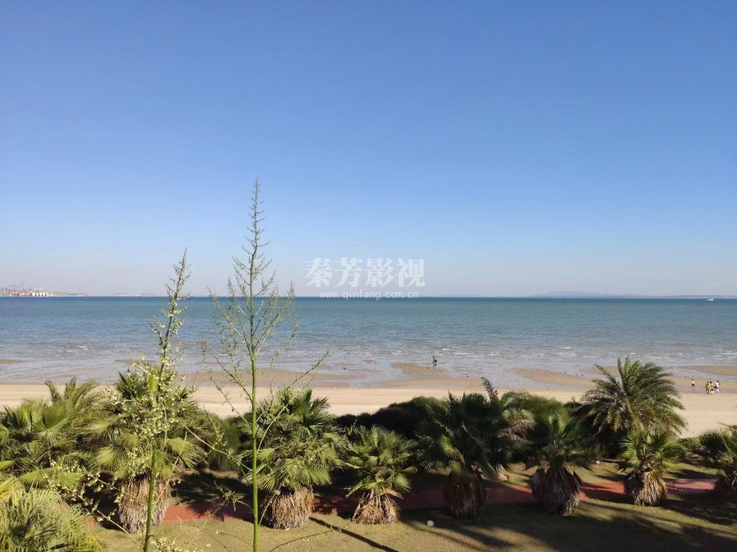 佳佳就业剧组《若有寒冬遇暖阳》杀青