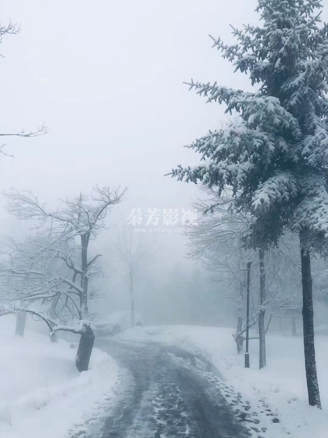 《今年过年就结婚》李丞峰、韩铠伊、牛犇、阎青妤