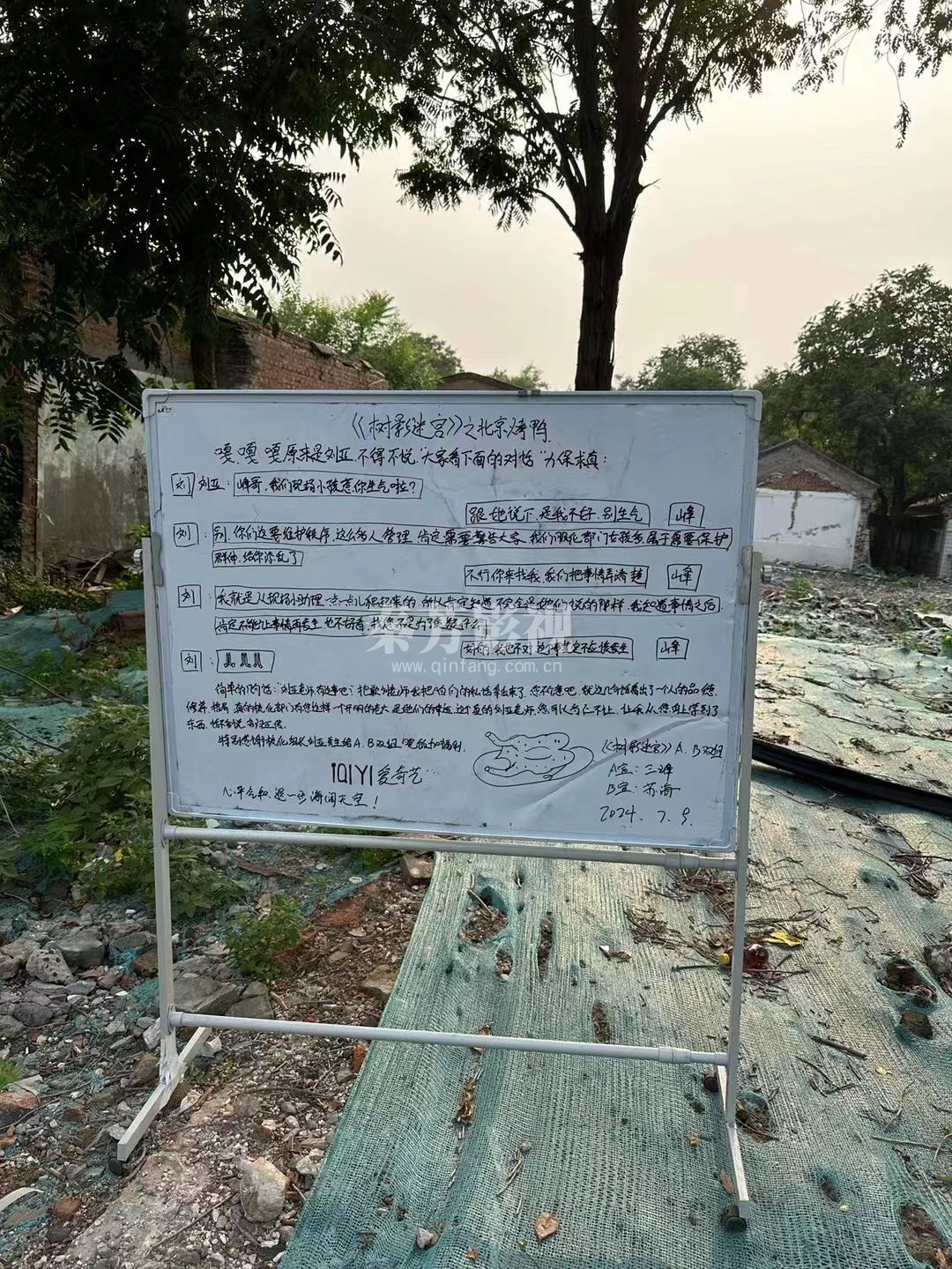 【赶恶手记】之树影迷宫