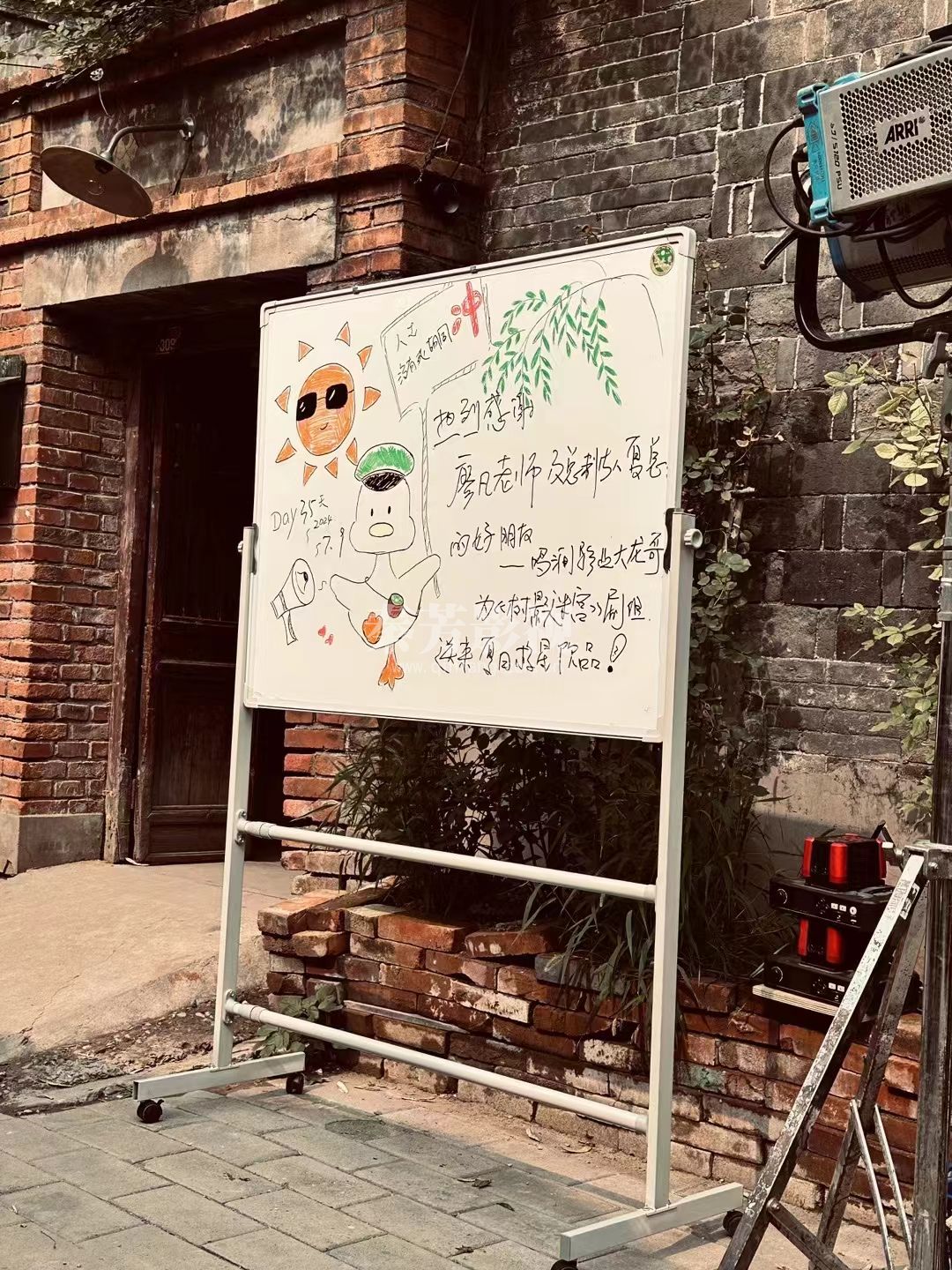 【赶恶手记】之树影迷宫