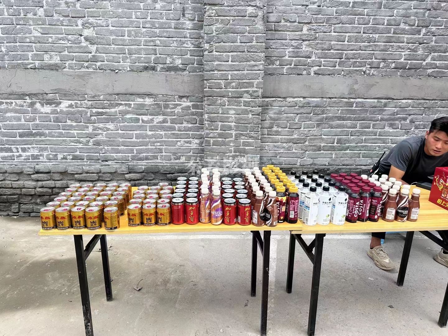 【赶恶手记】之树影迷宫